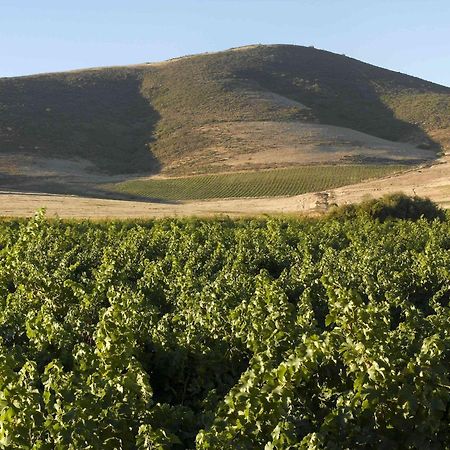 Meerendal Boutique Hotel Durbanville Zewnętrze zdjęcie