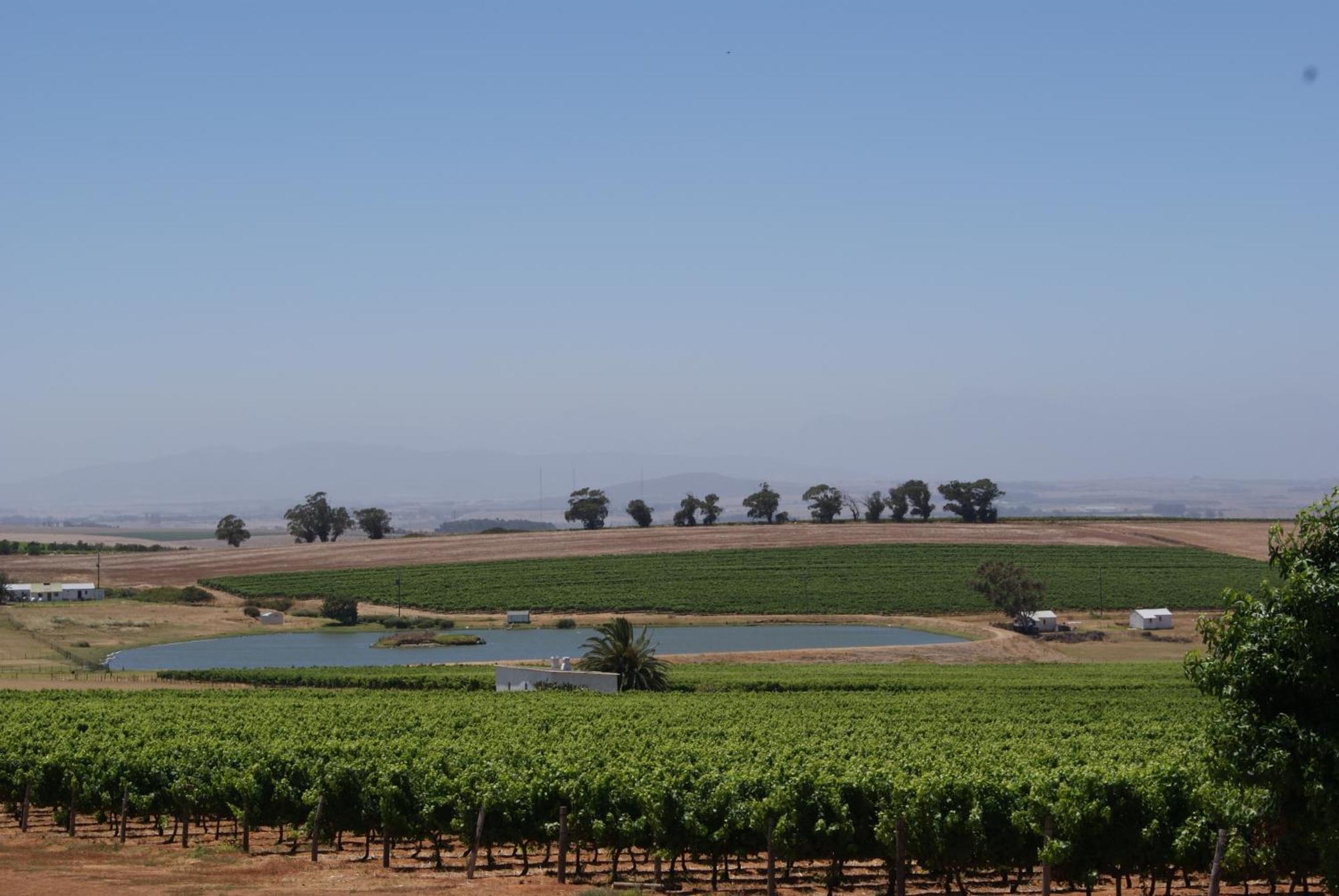 Meerendal Boutique Hotel Durbanville Zewnętrze zdjęcie